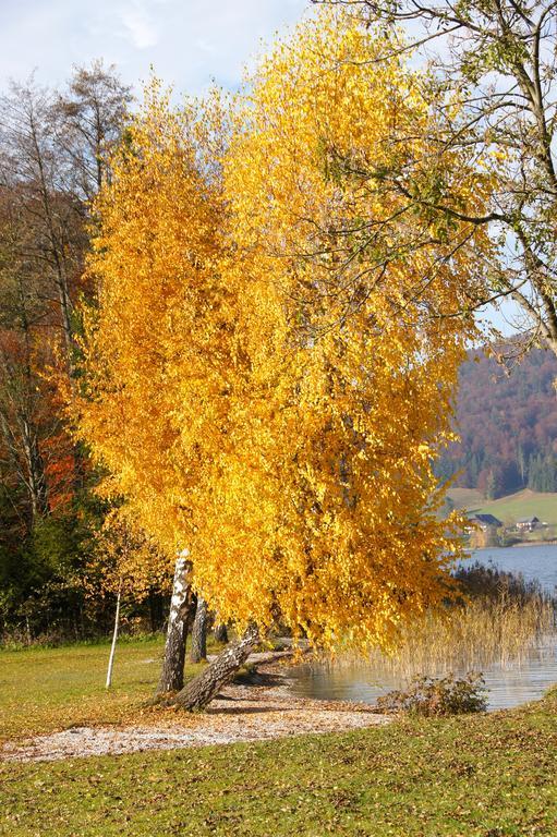 Haus Lisa Apartment Fuschl am See Luaran gambar