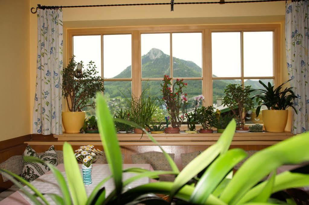 Haus Lisa Apartment Fuschl am See Luaran gambar